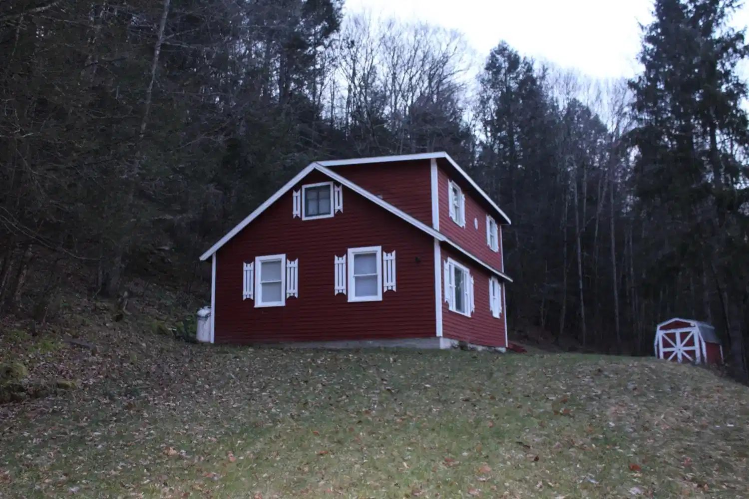 Image 1