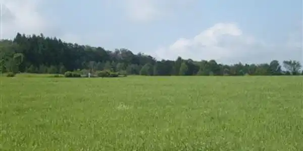 0 Hill Road