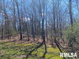 Lot 44 Saluki Way