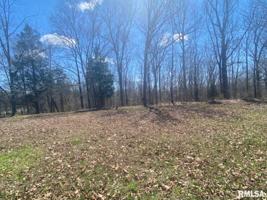 Lot 43 Saluki Way