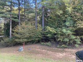 lOT 407 Parrish Ridge Lane