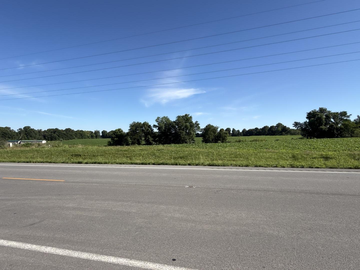Image 4 Image 4