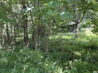 Lot 246 MARK Drive