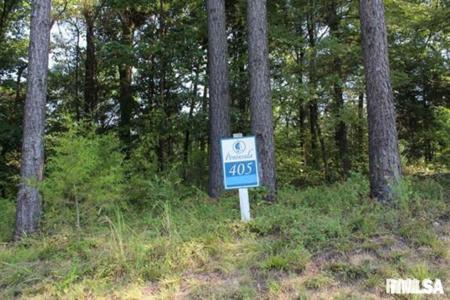 Lot 405 Parrish Ridge Road