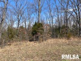 Lot 79 Saluki Way