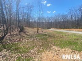 Lot 45 Saluki Way