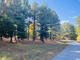 Lot #39 Luxor Landing Lane