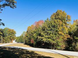 Lot #81 Saluki Way