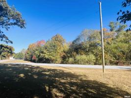 Lot #82 Saluki Way