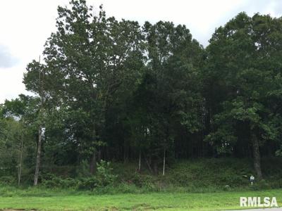 lot 287 Parrish Ridge Lane