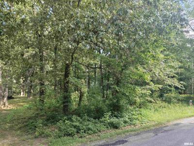 0000 White Birch Court