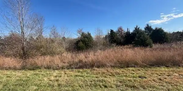 Lot 16 PINTAIL Lane