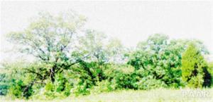Lot 60 N ADAMS Court