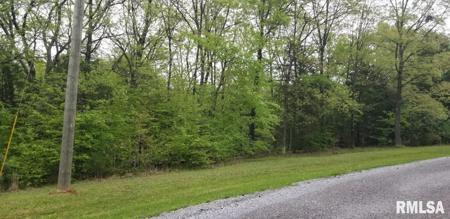 Lot 80 & 81 Saluki Way