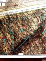 Lot 223 OLD ORCHARD