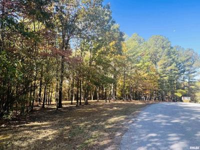 Lot 41 Luxor Landing Lane