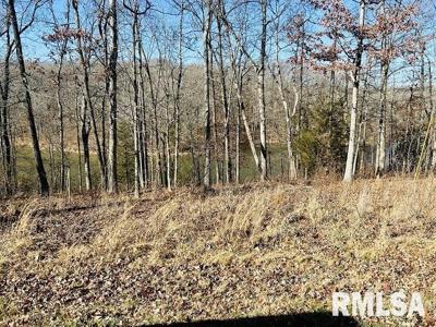 Lot 75 Saluki Way