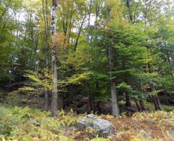 63 Beaver Lake Dr
