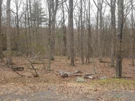 137 White Tail Cir