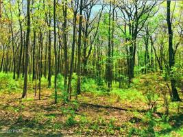 110 TIMBER RIDGE Dr