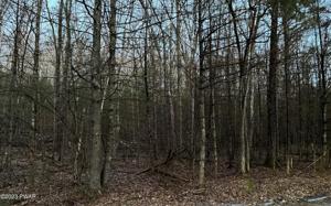 Lot 367 Creek Rd