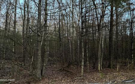 Lot 367 Creek Road
