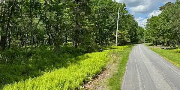 Lot 407 Sec Avocado Lane
