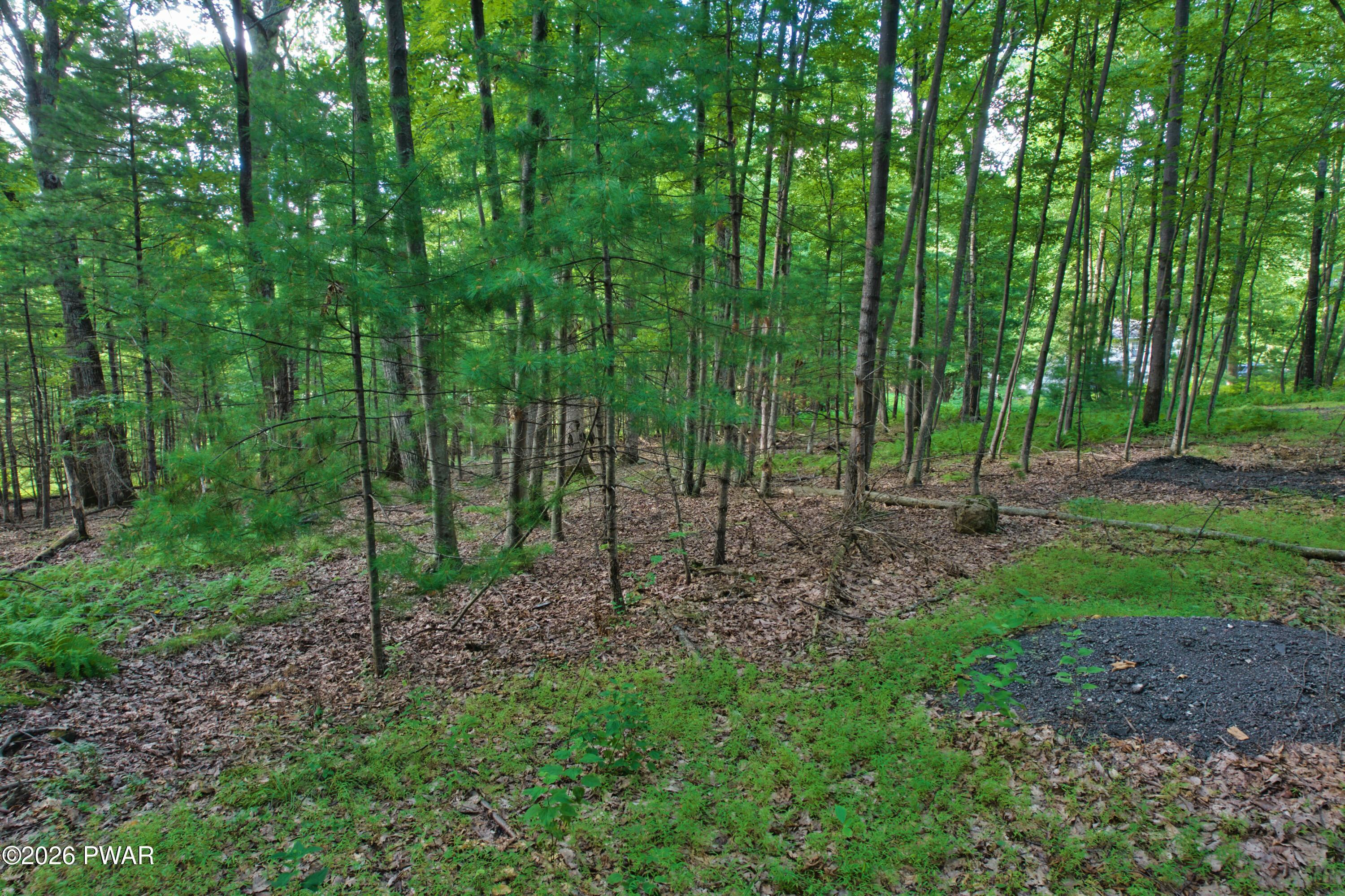 Image 4 Image 4