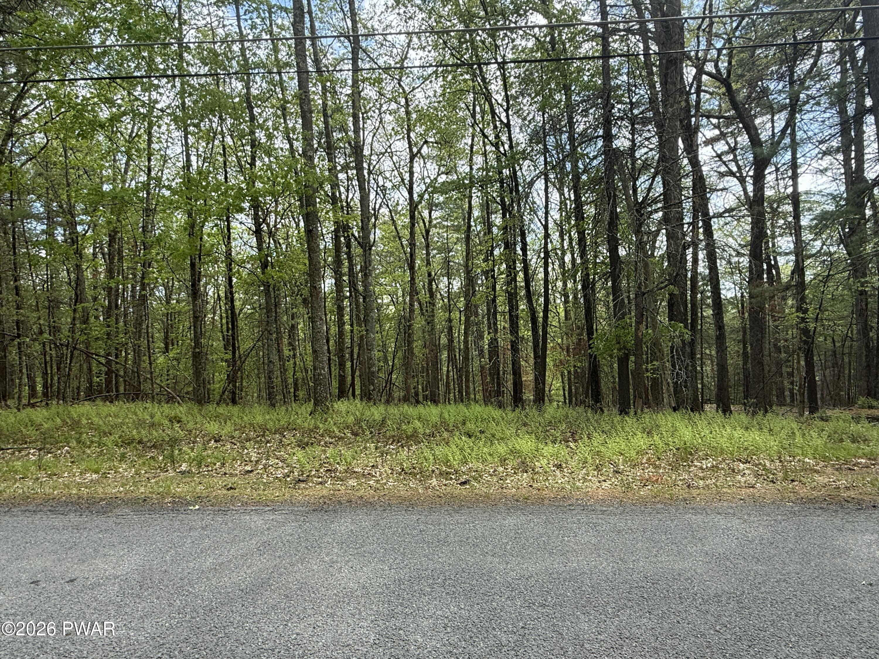 Image 4 Image 4