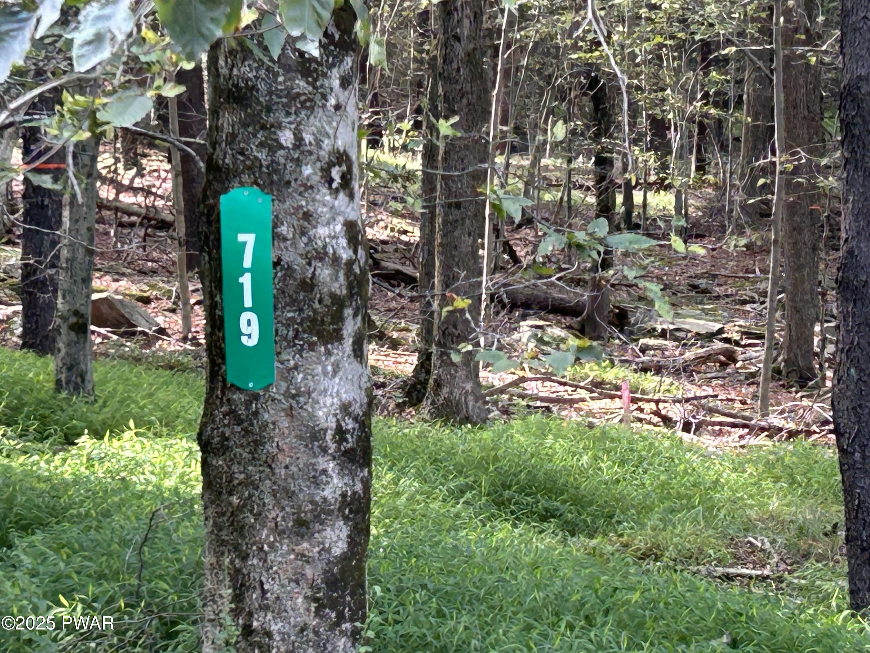 Image 3 Image 3