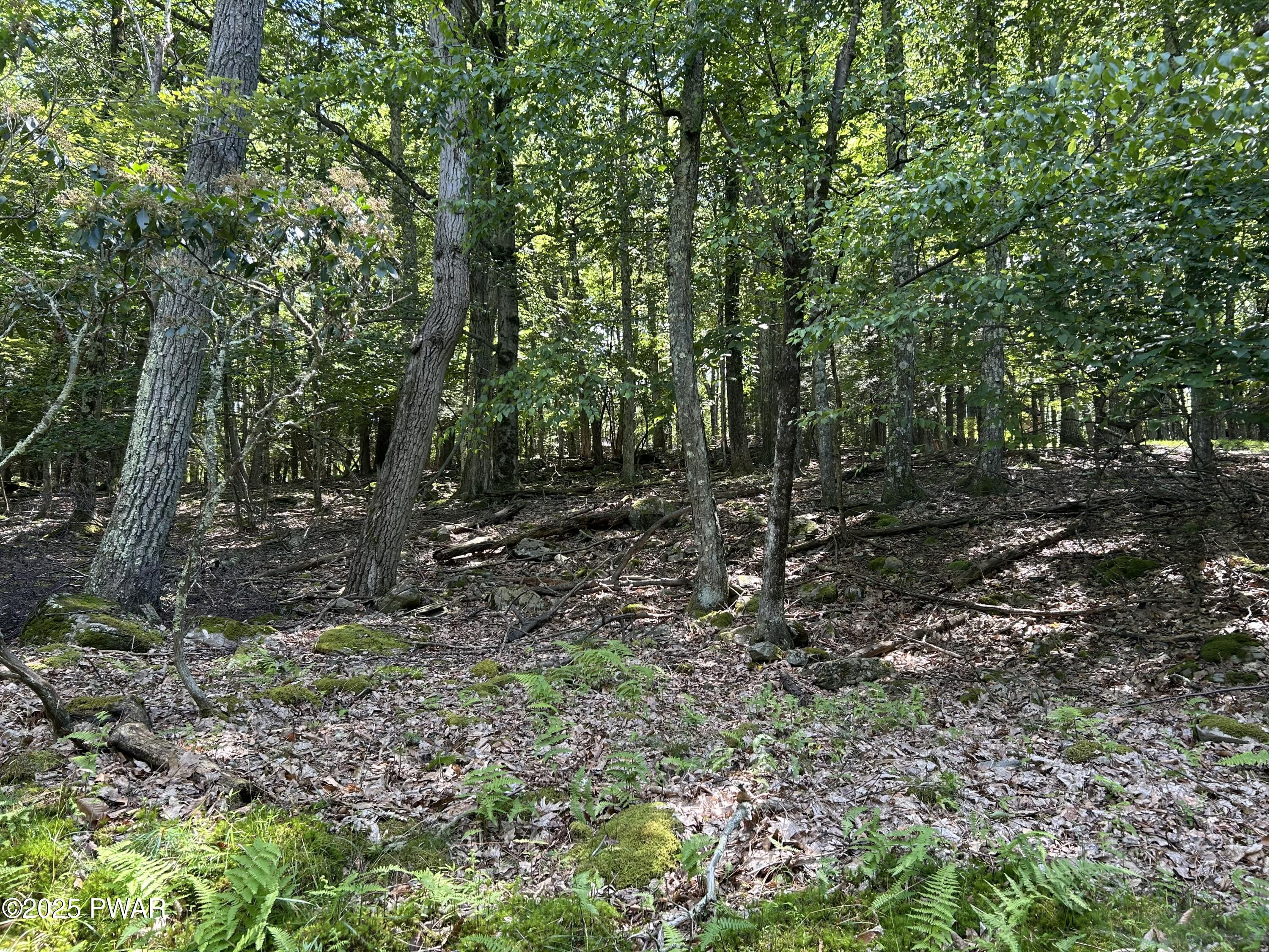 Image 4 Image 4