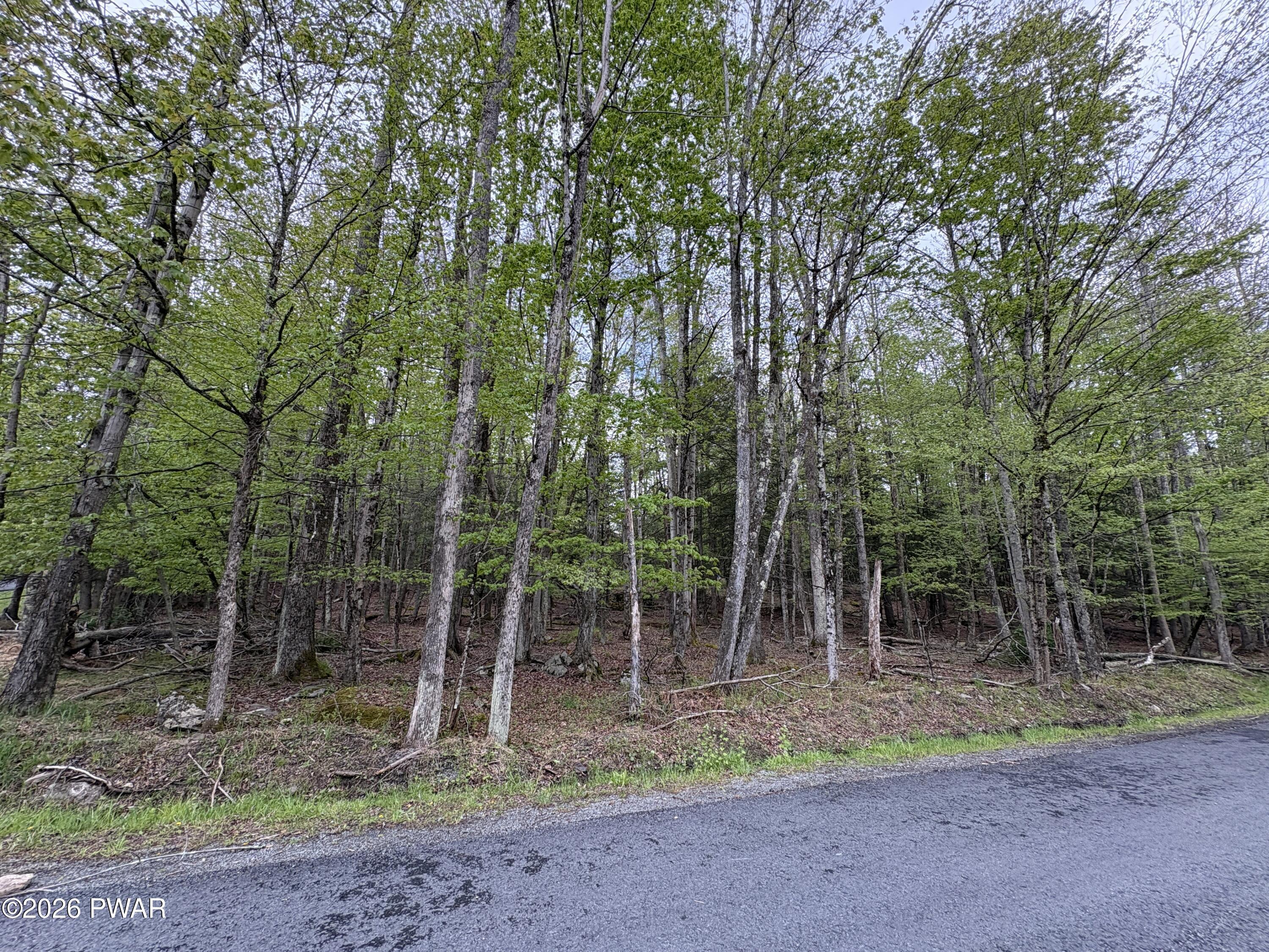 Image 4 Image 4