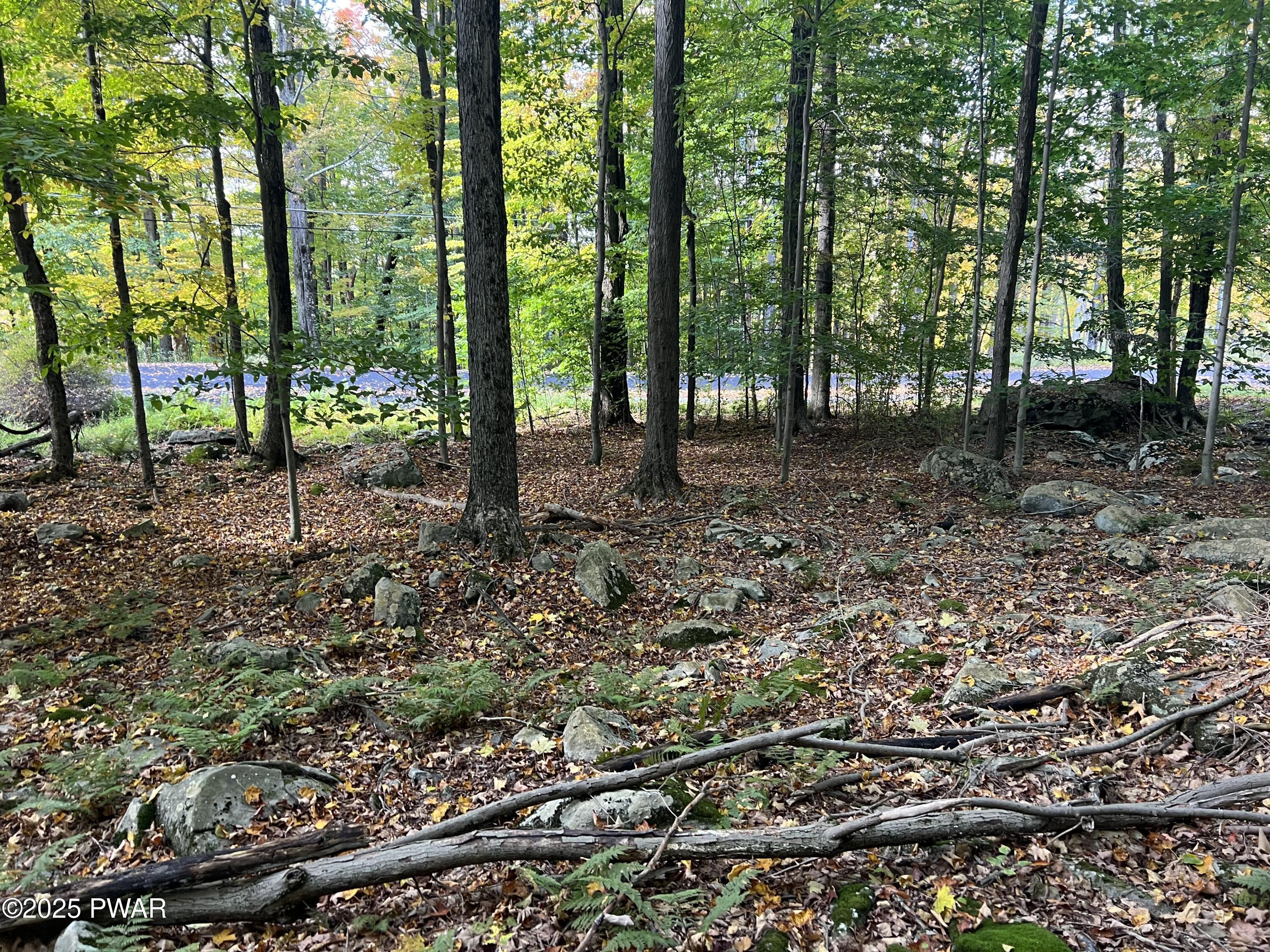 Image 3 Image 3