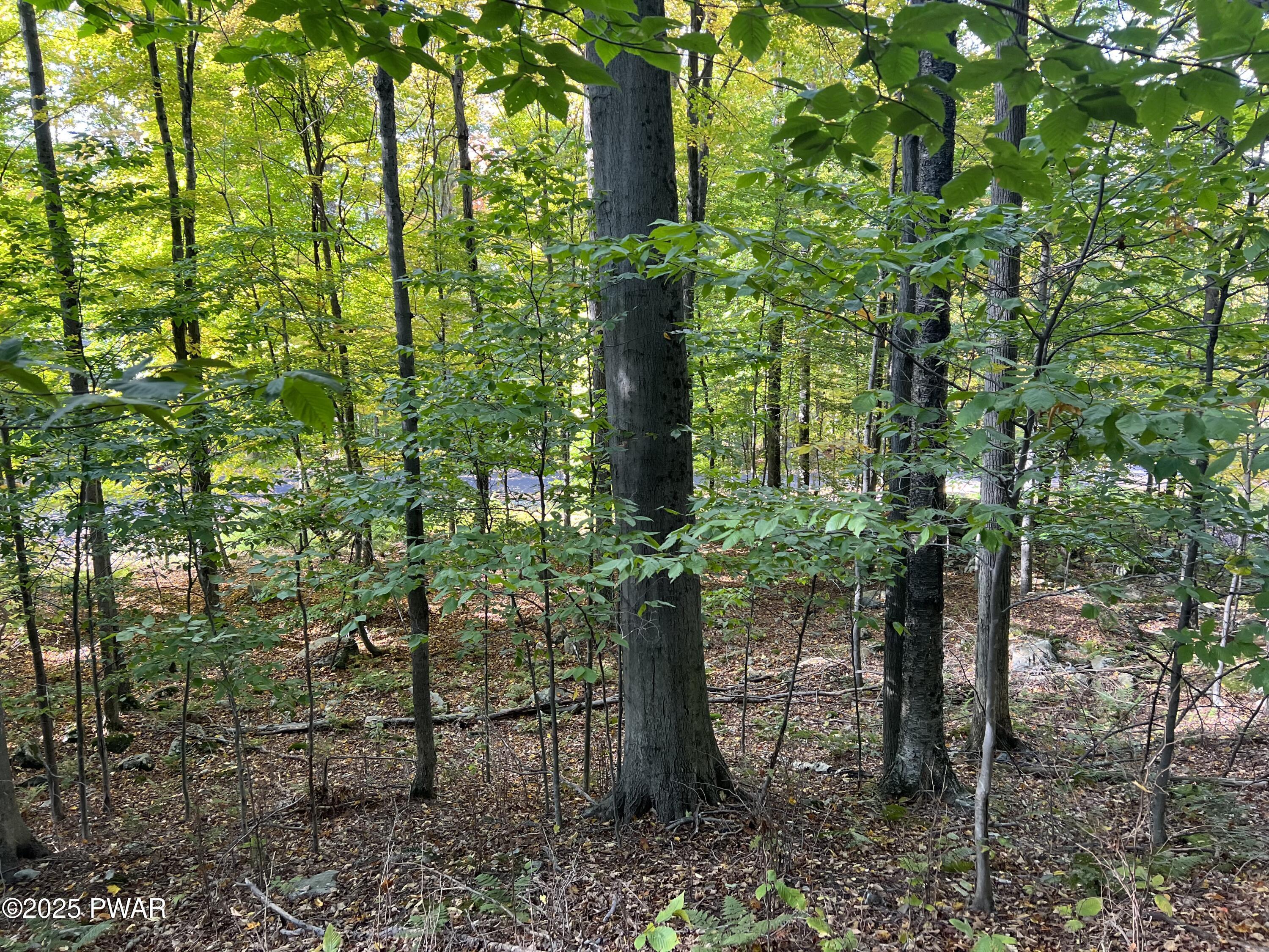Image 4 Image 4