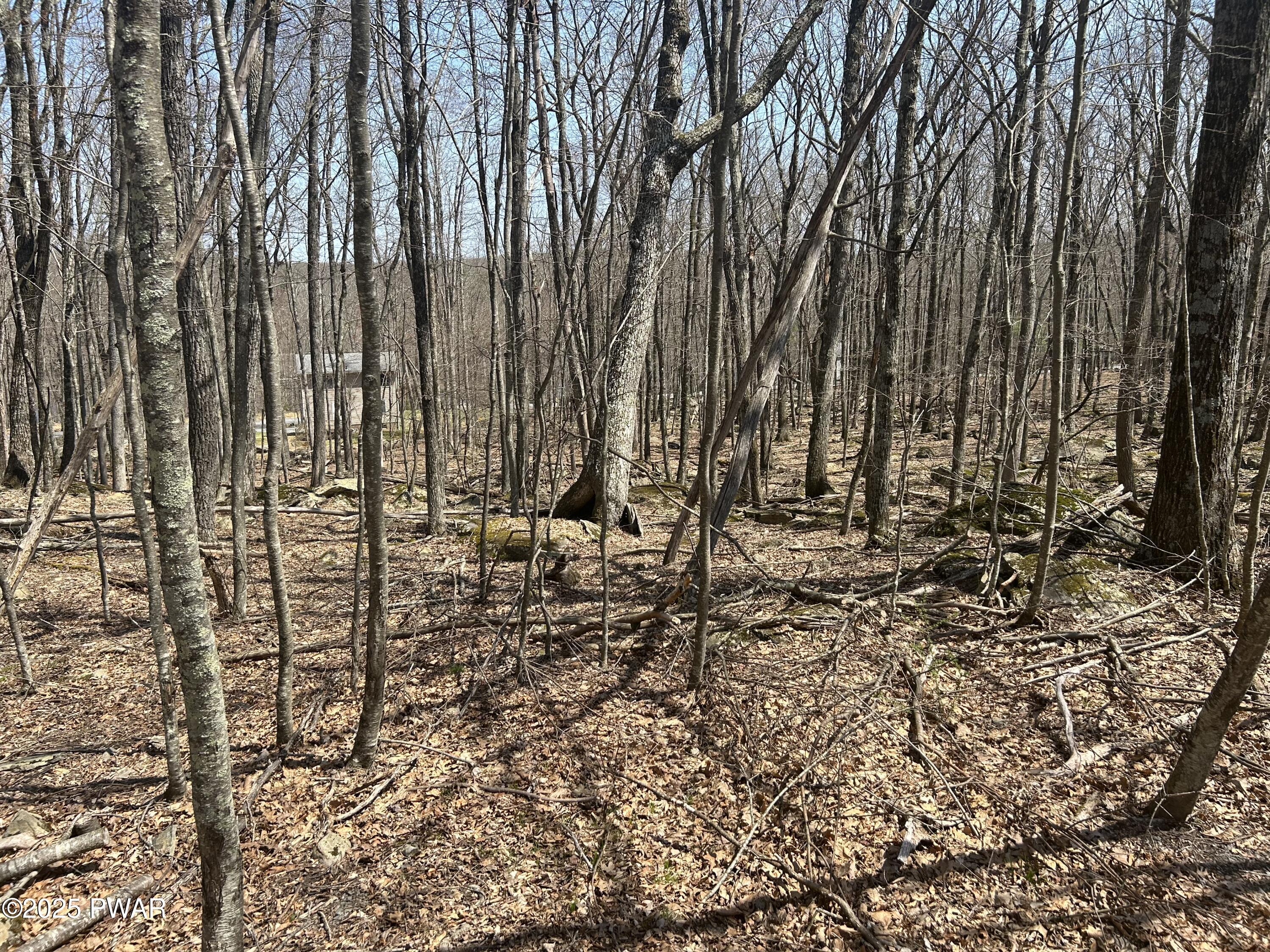 Image 3 Image 3