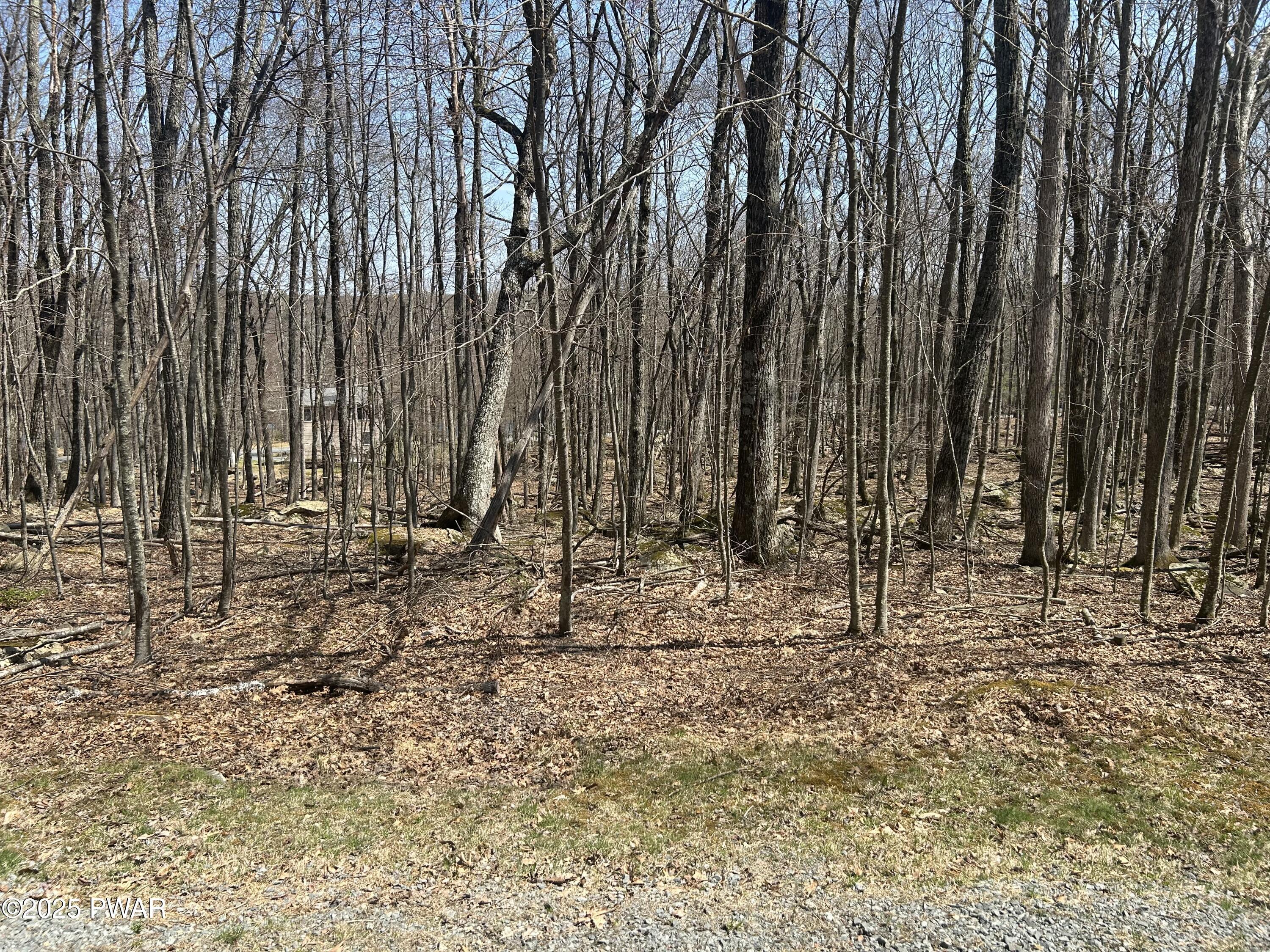 Image 4 Image 4