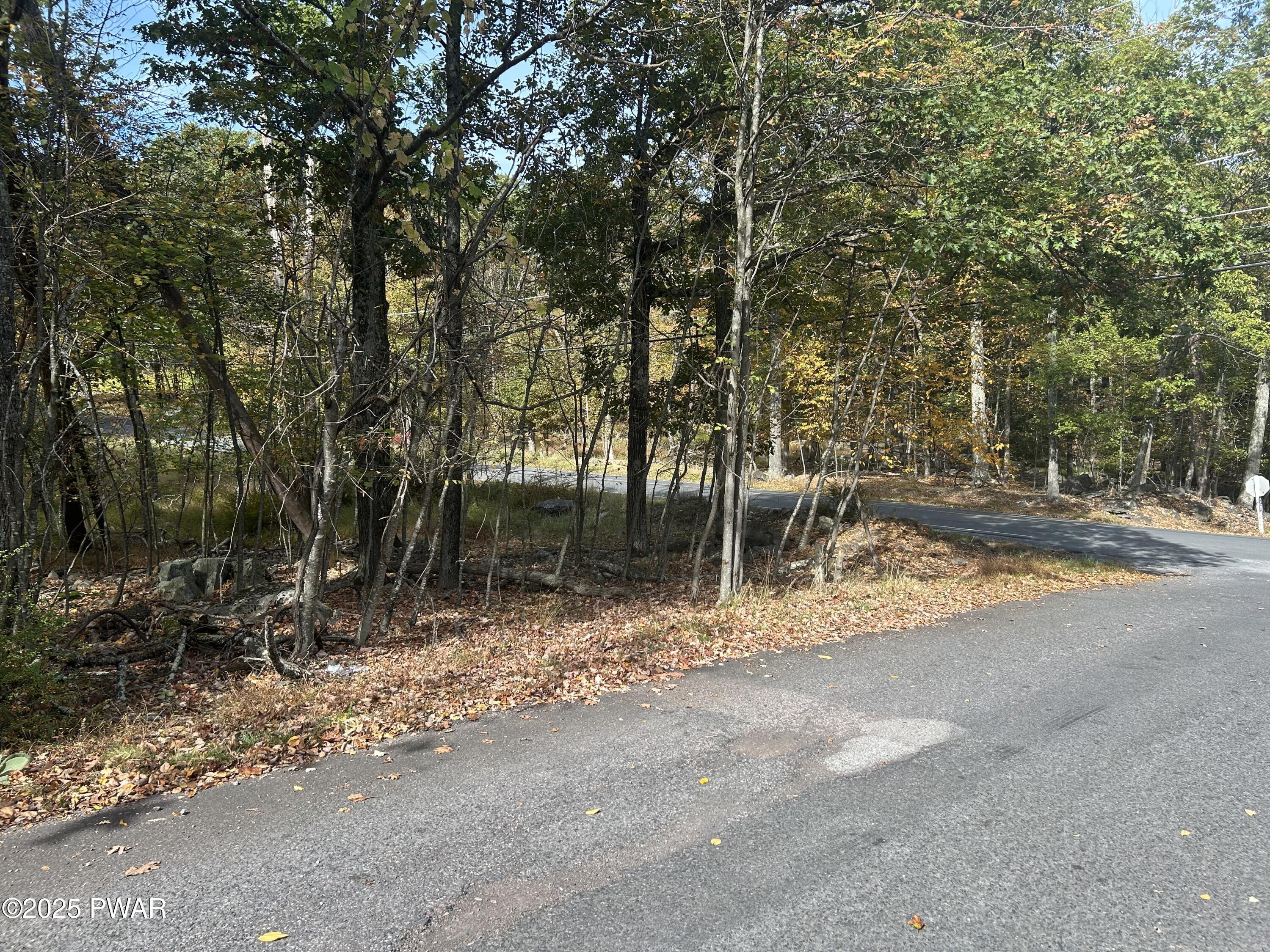Image 3 Image 3