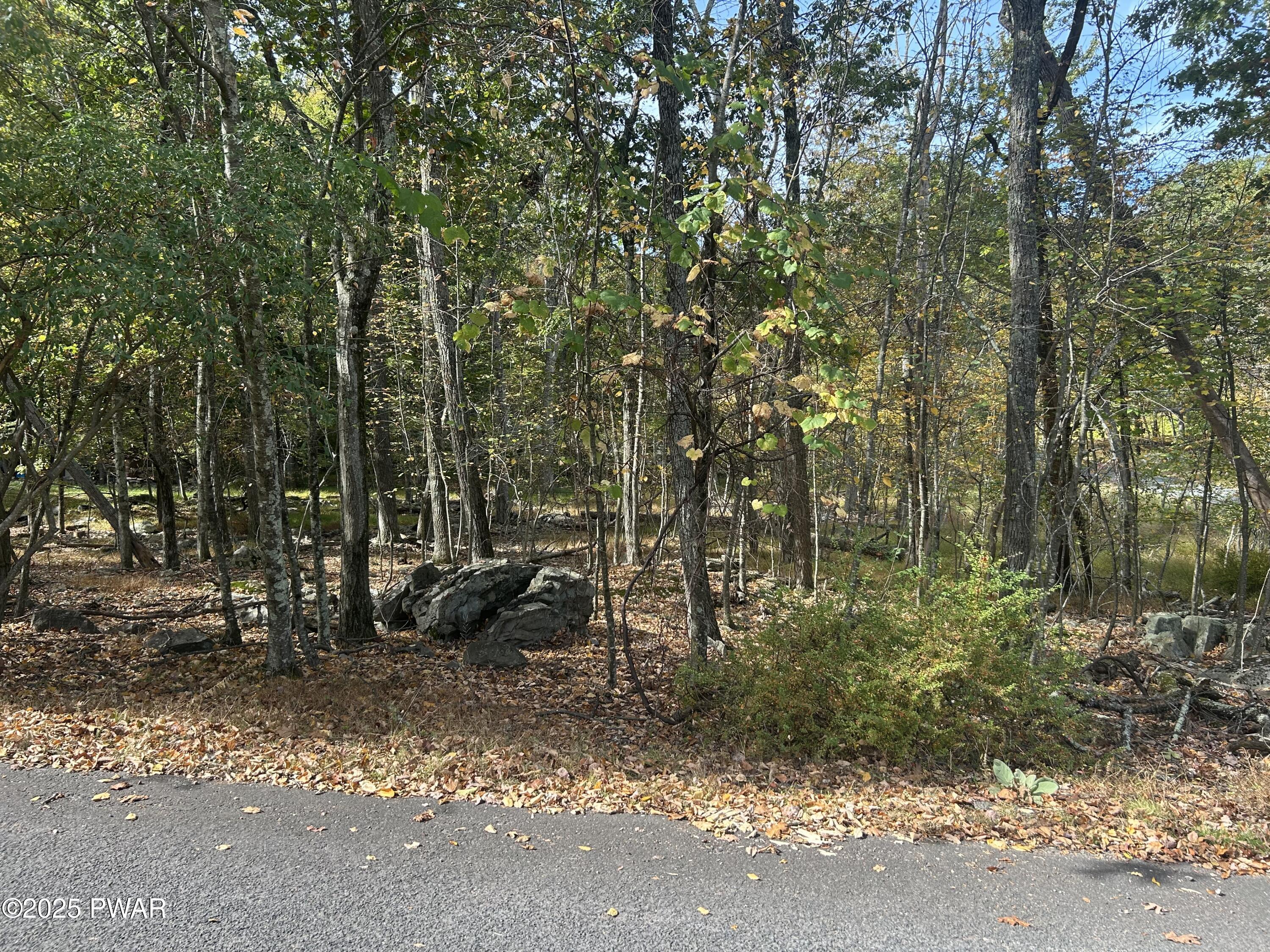 Image 4 Image 4