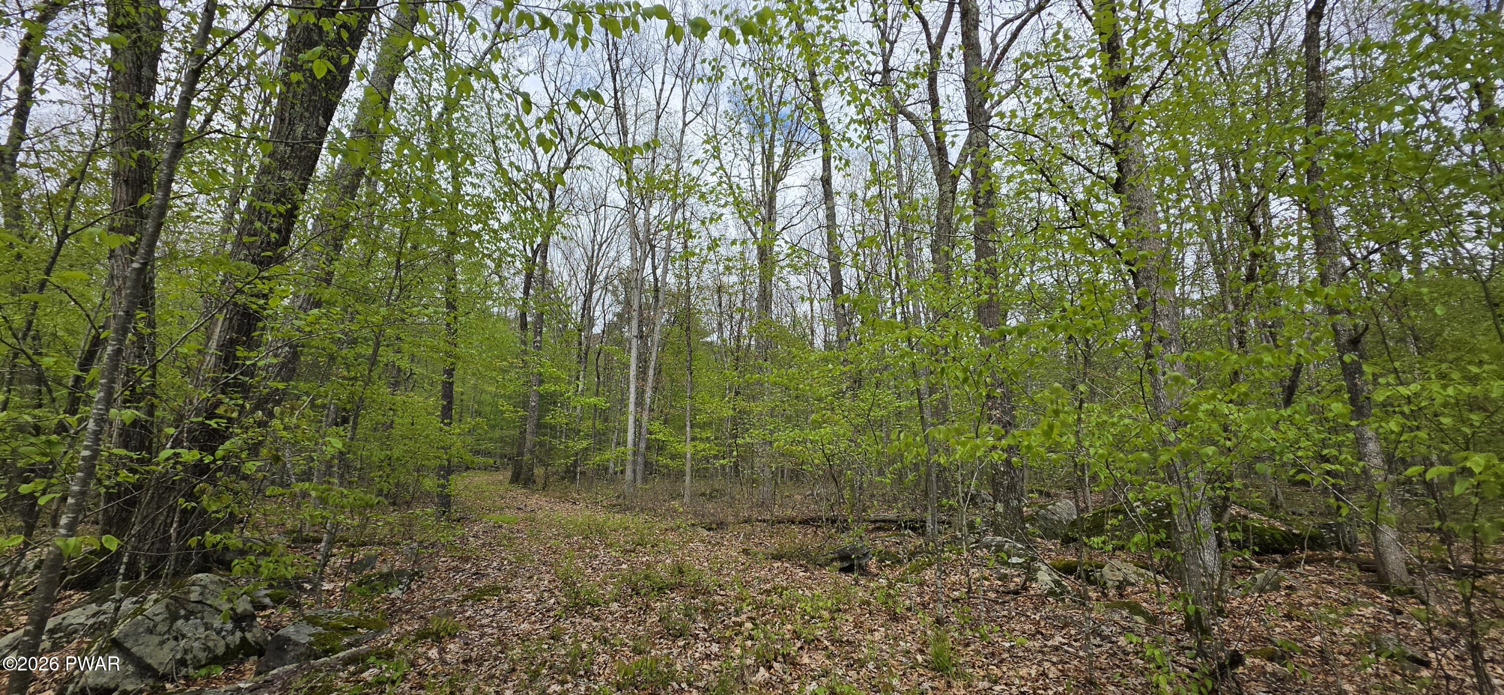 Image 3 Image 3