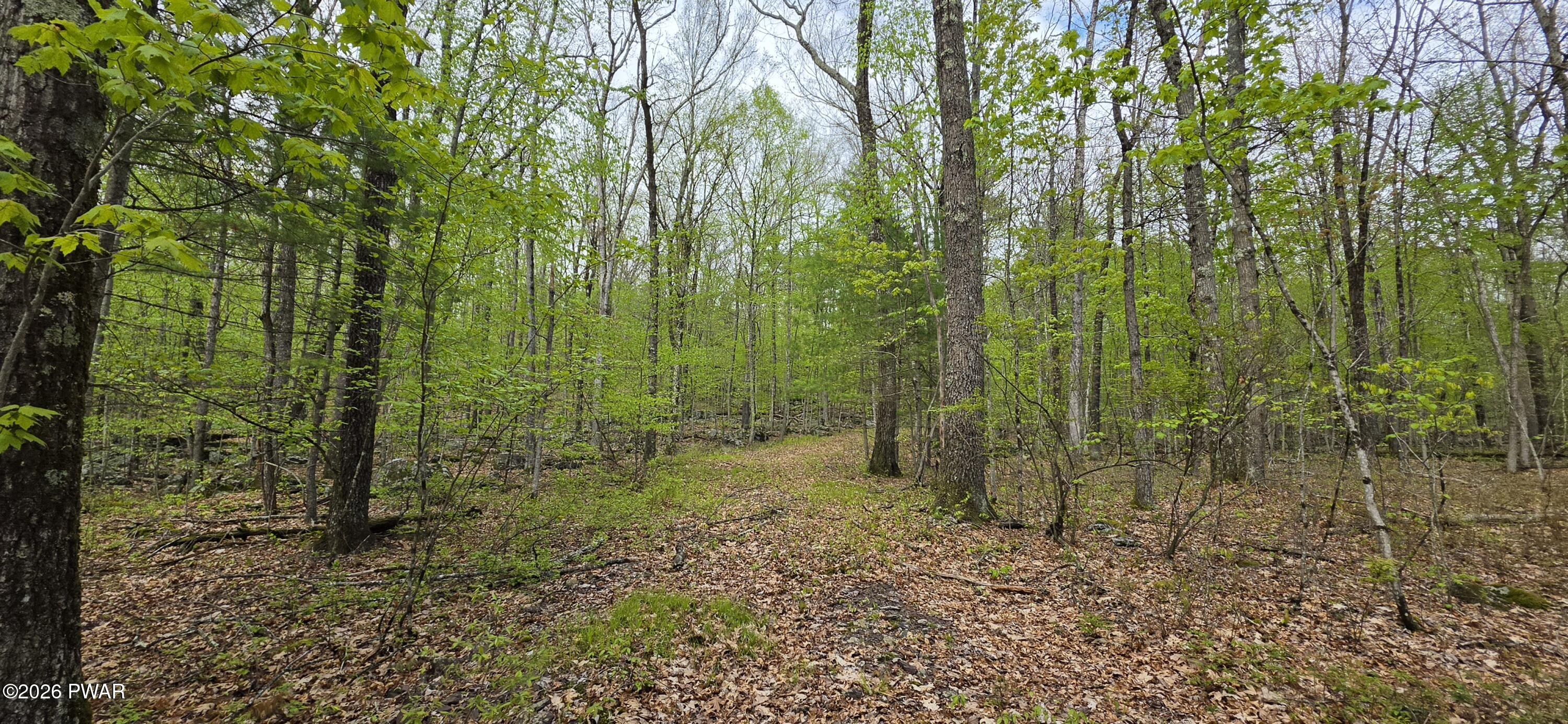 Image 4 Image 4