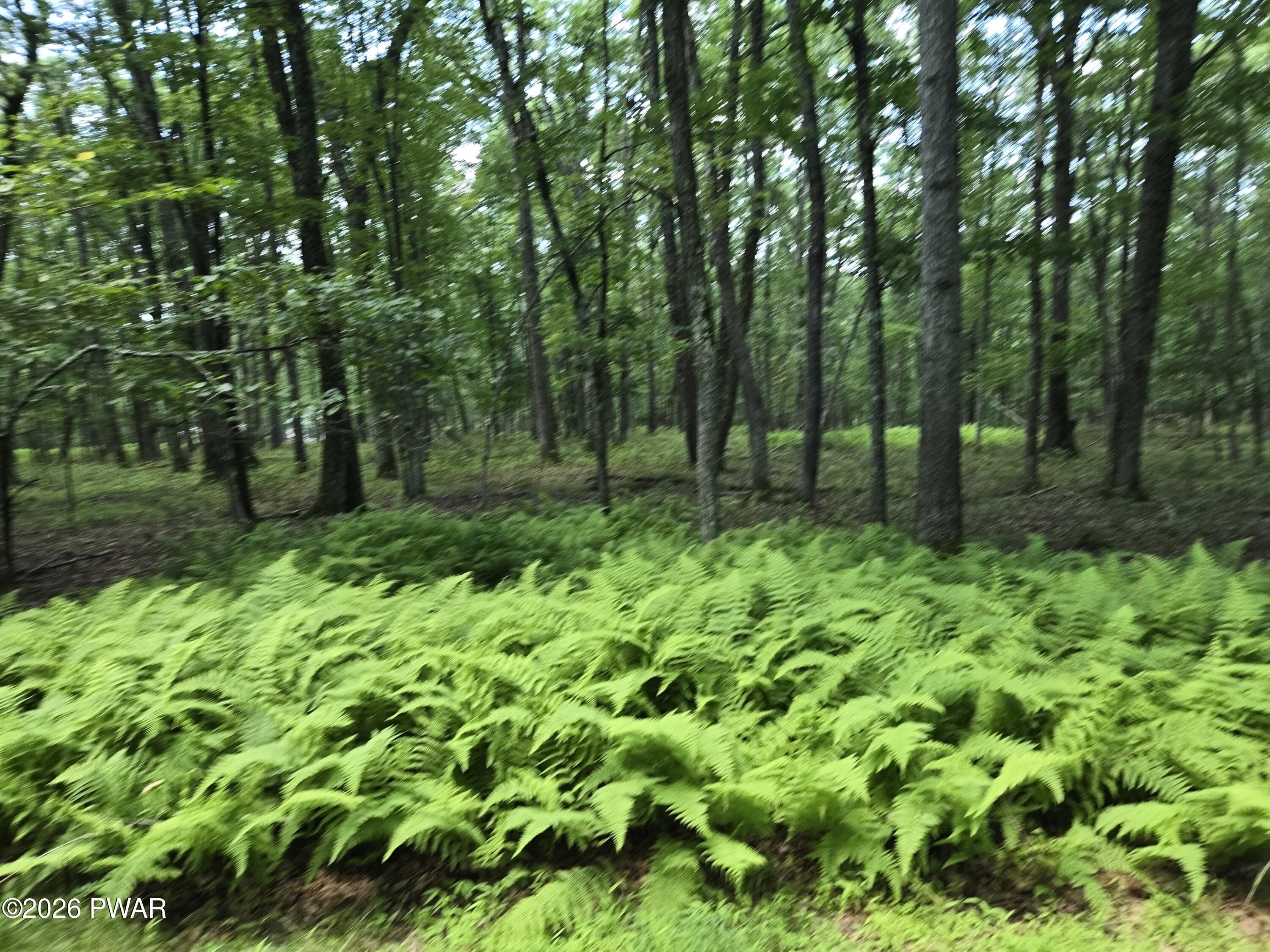 Image 3 Image 3