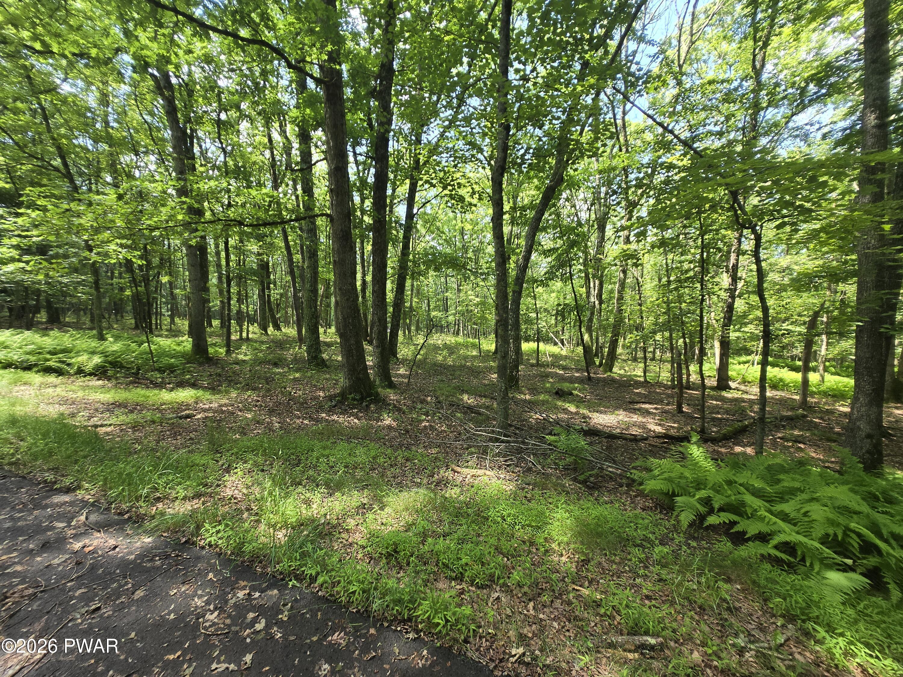Image 4 Image 4