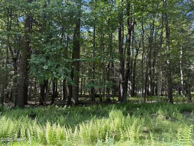 Grove Lane