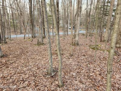 155 Buck Run Drive