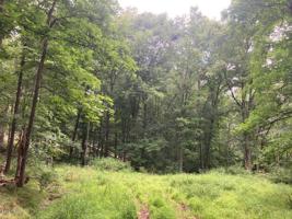 Lot 24,25 Blossom Rd