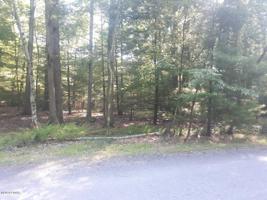 58 Willows ct