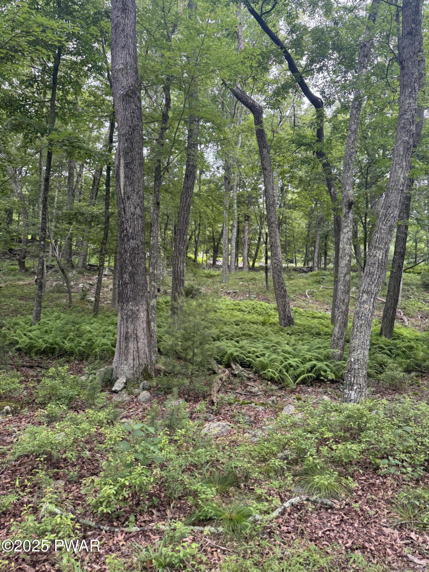 Image 4 Image 4