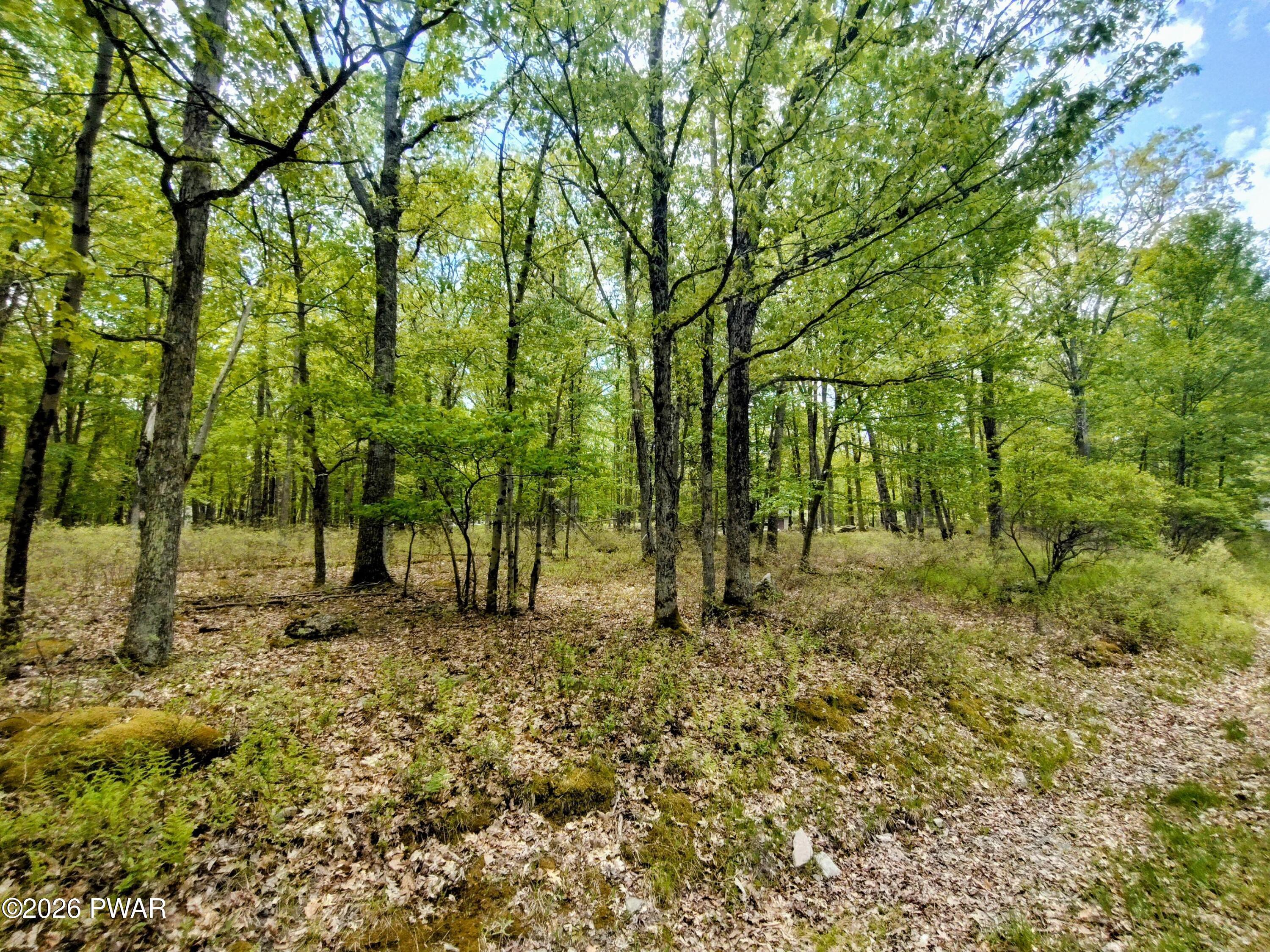 Image 2 Image 2