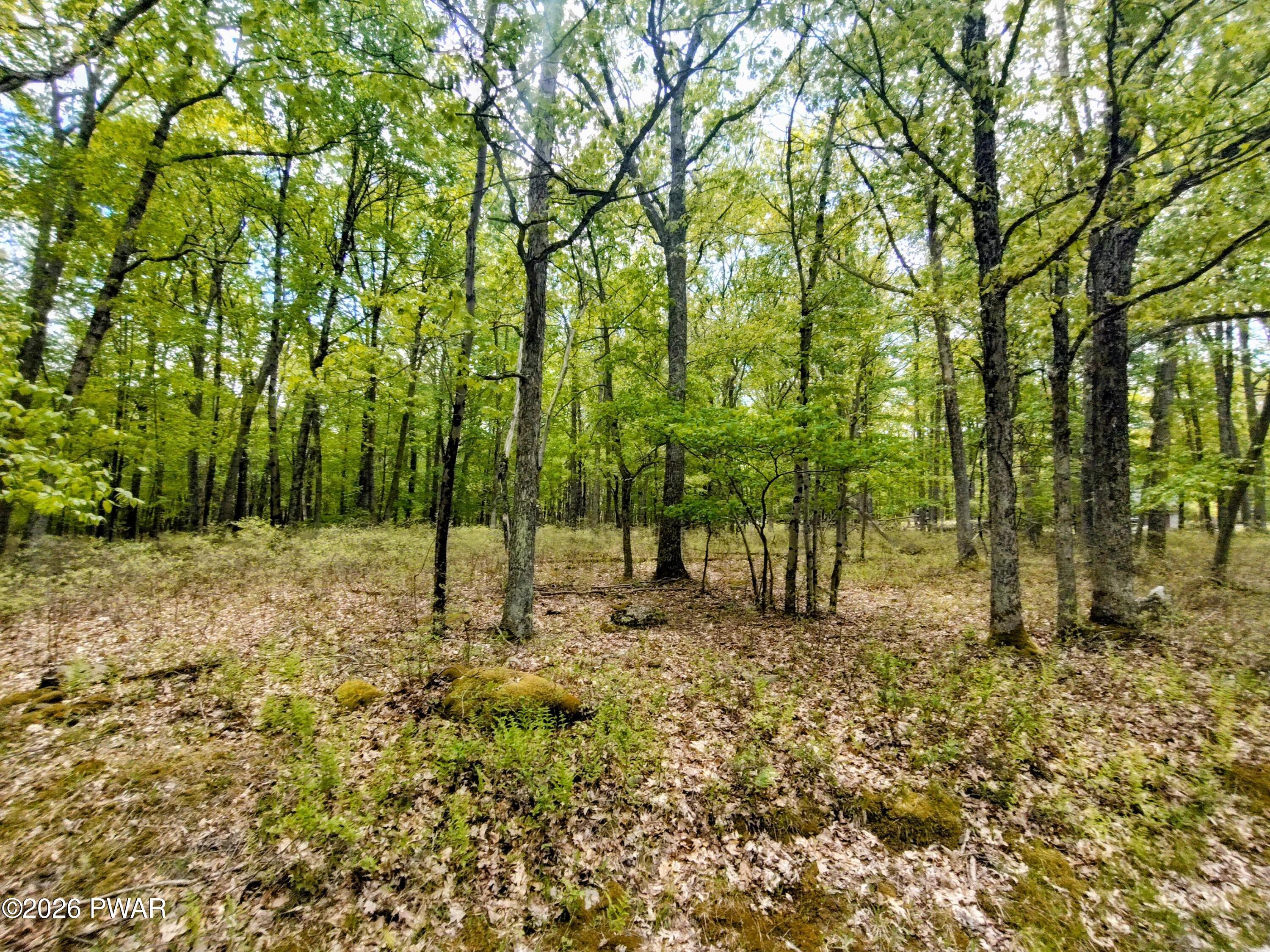 Image 3 Image 3