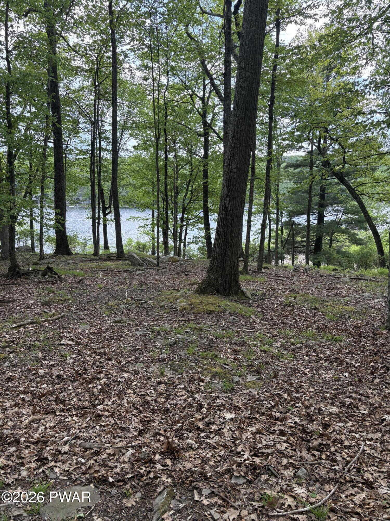 Image 2 Image 2
